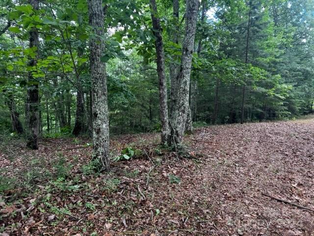 46 N Park Lane Mill Spring NC 28756