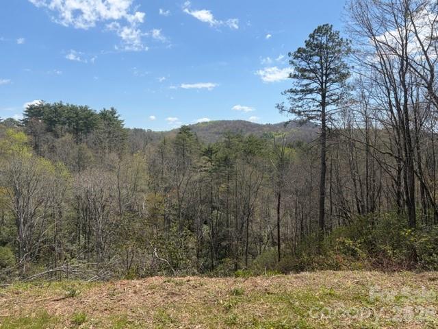181 Pathkiller Road Lake Toxaway NC 28747