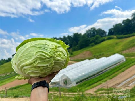 240 Westridge Farm Road Asheville NC 28804