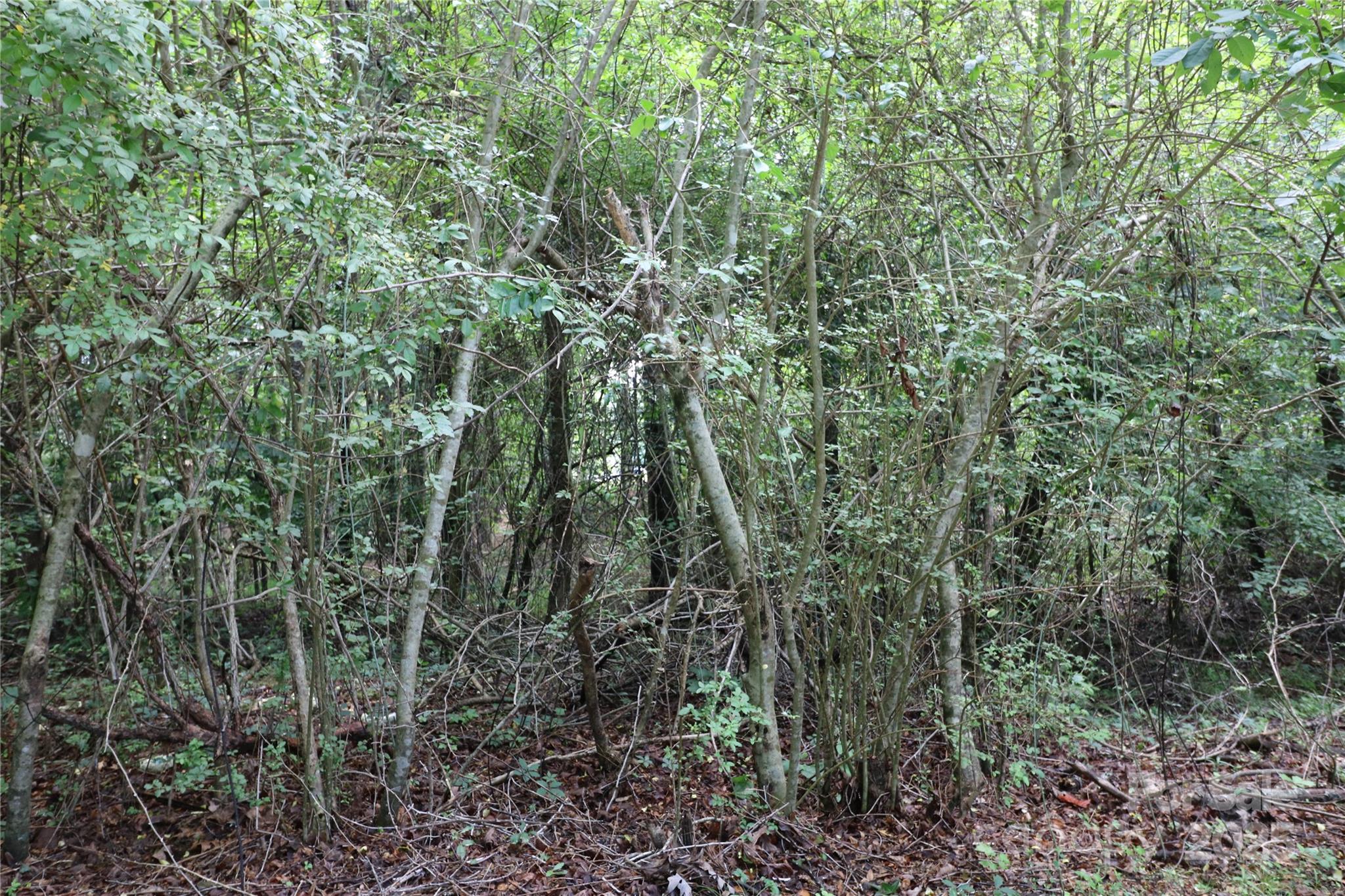 0 Whispering Pines Circle Forest City NC 28043