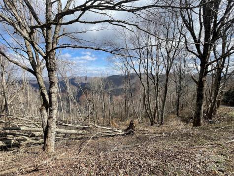 Lot #39 Ridge Top Circle Clyde NC 28721