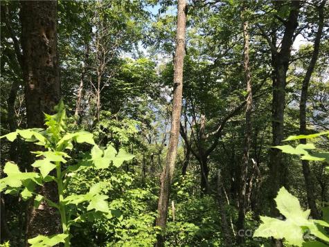 Lot #39 Ridge Top Circle Clyde NC 28721