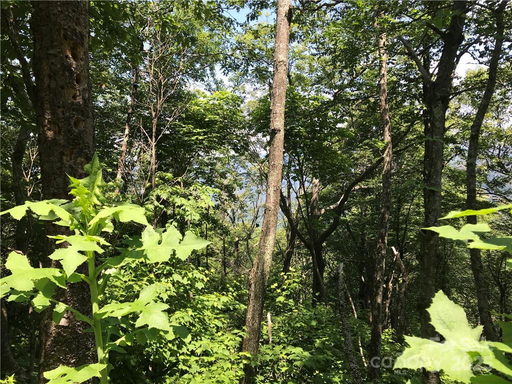 Lot #39 Ridge Top Circle Clyde NC 28721