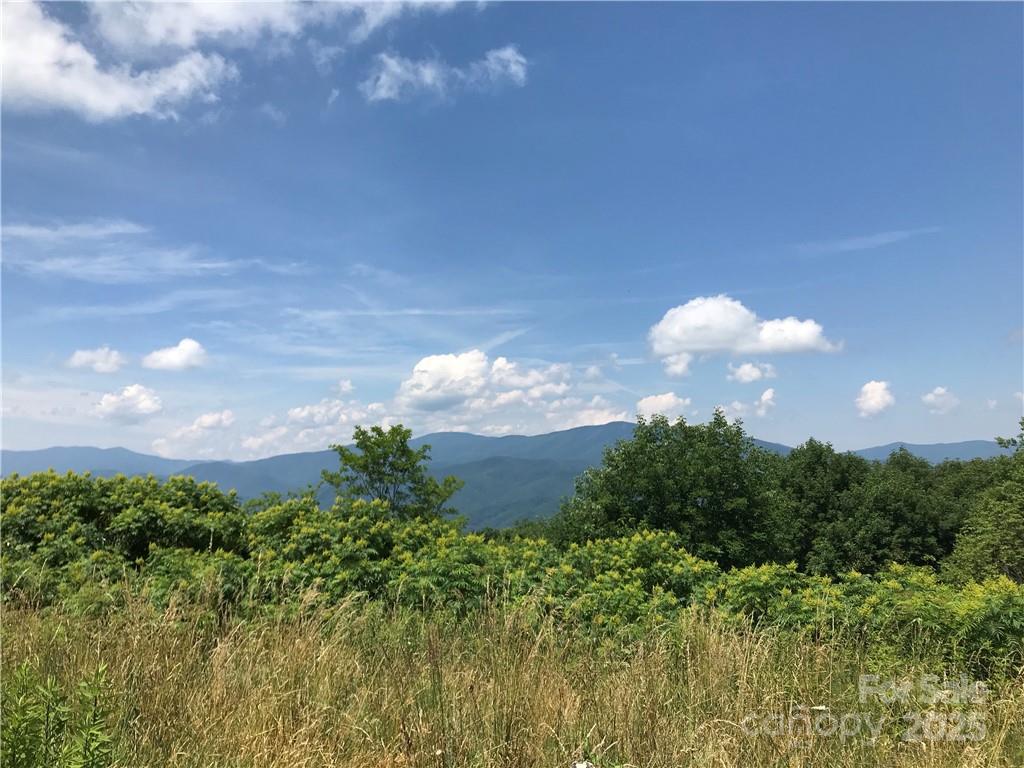 Lot #39 Ridge Top Circle Clyde NC 28721