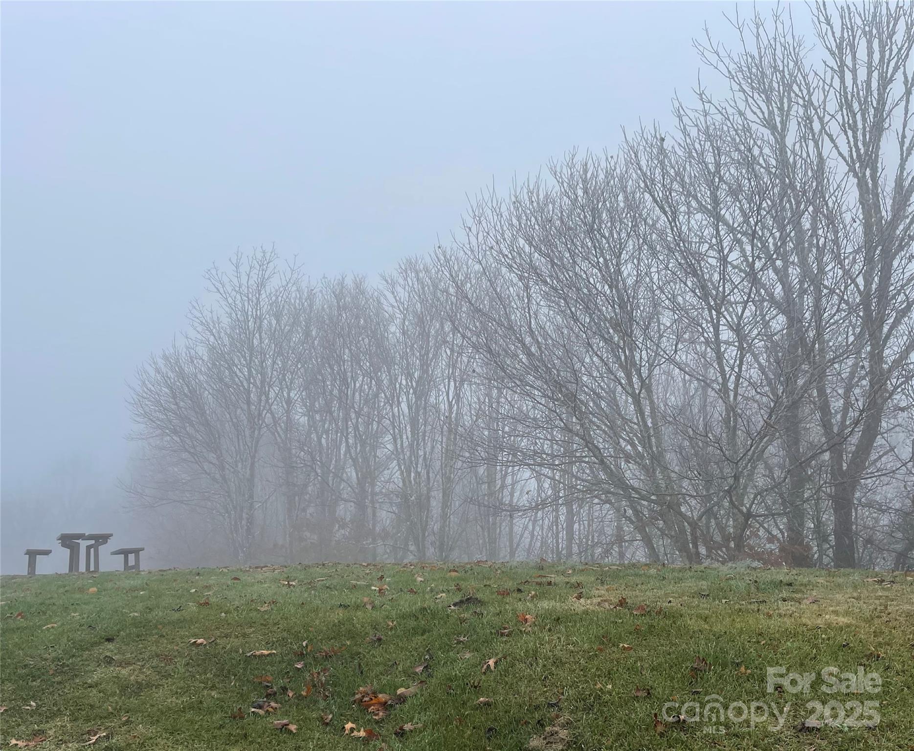 Lot #39 Ridge Top Circle Clyde NC 28721