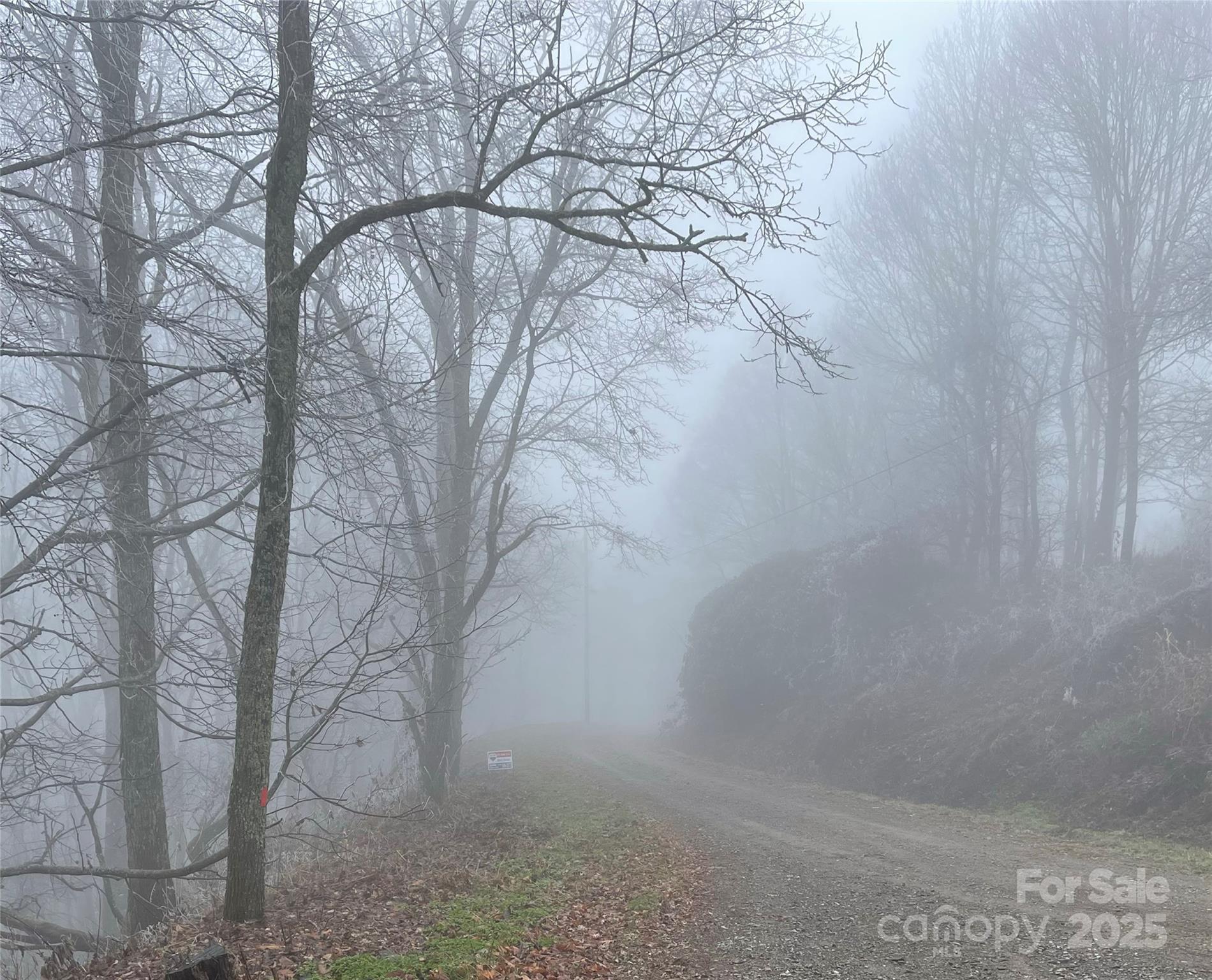 Lot #39 Ridge Top Circle Clyde NC 28721