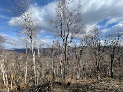 Lot #39 Ridge Top Circle Clyde NC 28721