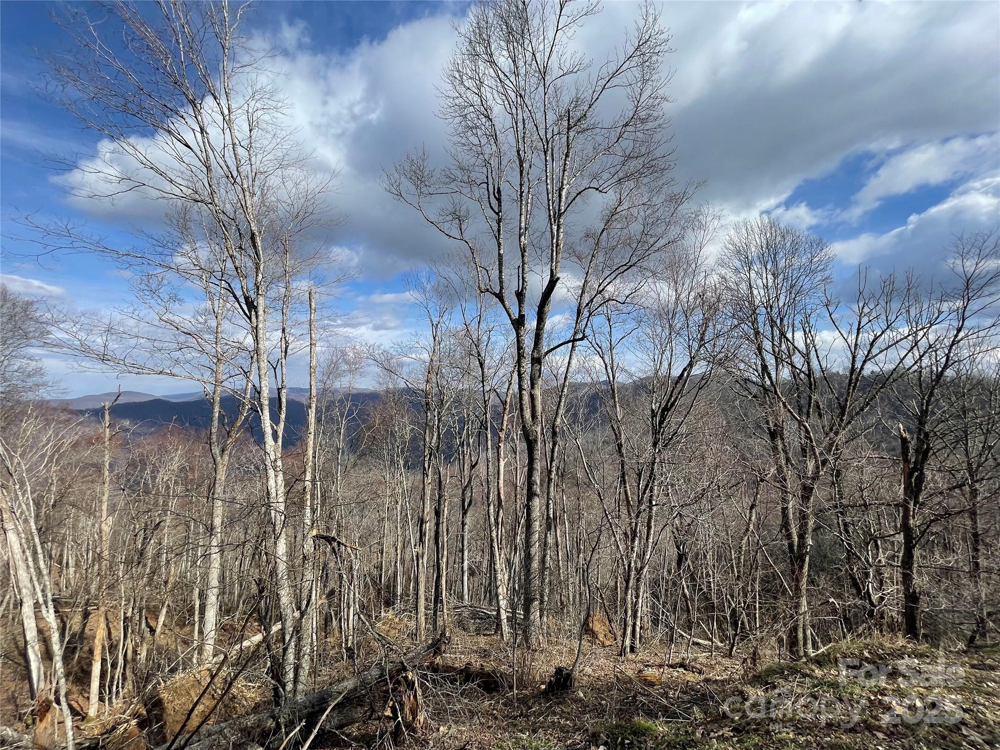 Lot #39 Ridge Top Circle Clyde NC 28721