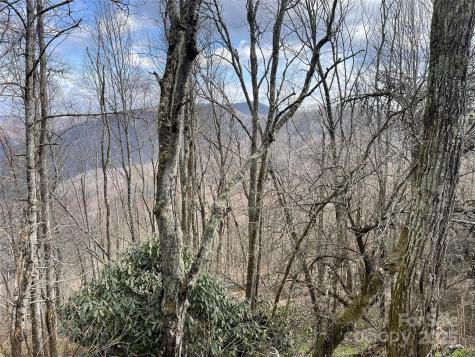 Lot #39 Ridge Top Circle Clyde NC 28721
