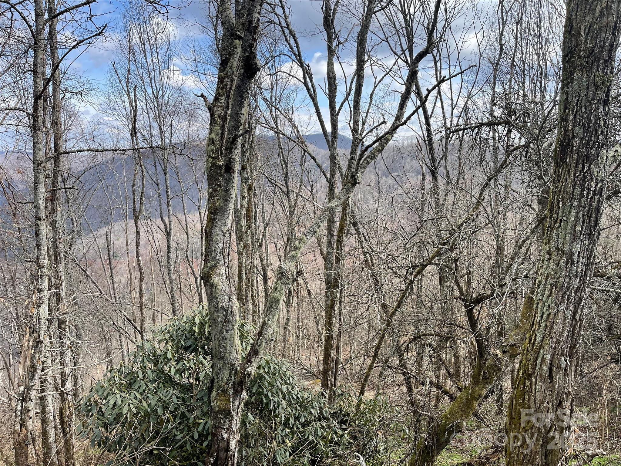 Lot #39 Ridge Top Circle Clyde NC 28721