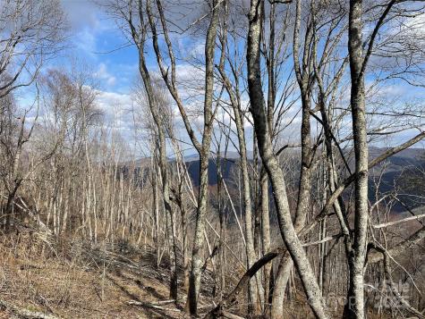 Lot #39 Ridge Top Circle Clyde NC 28721
