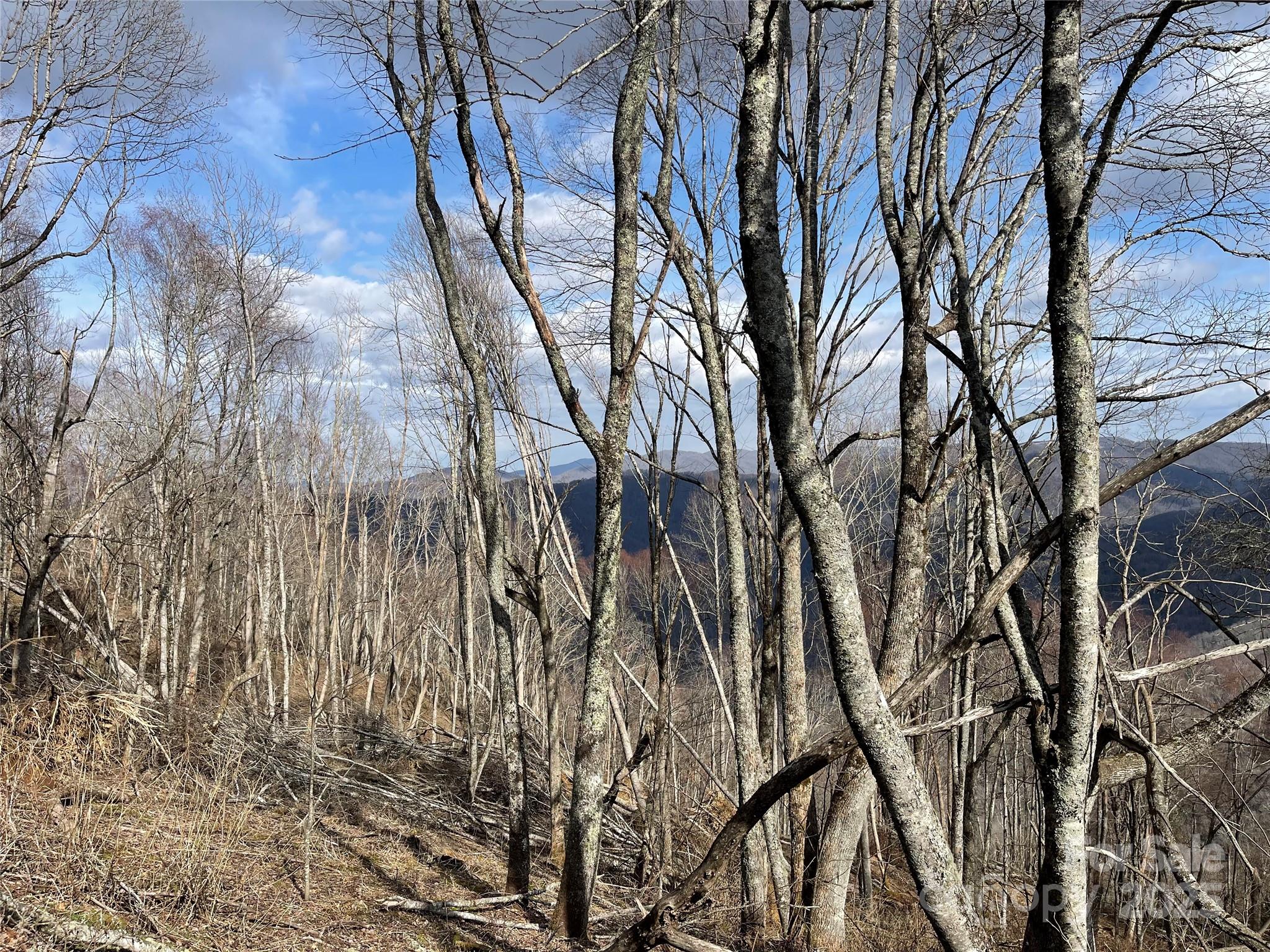 Lot #39 Ridge Top Circle Clyde NC 28721