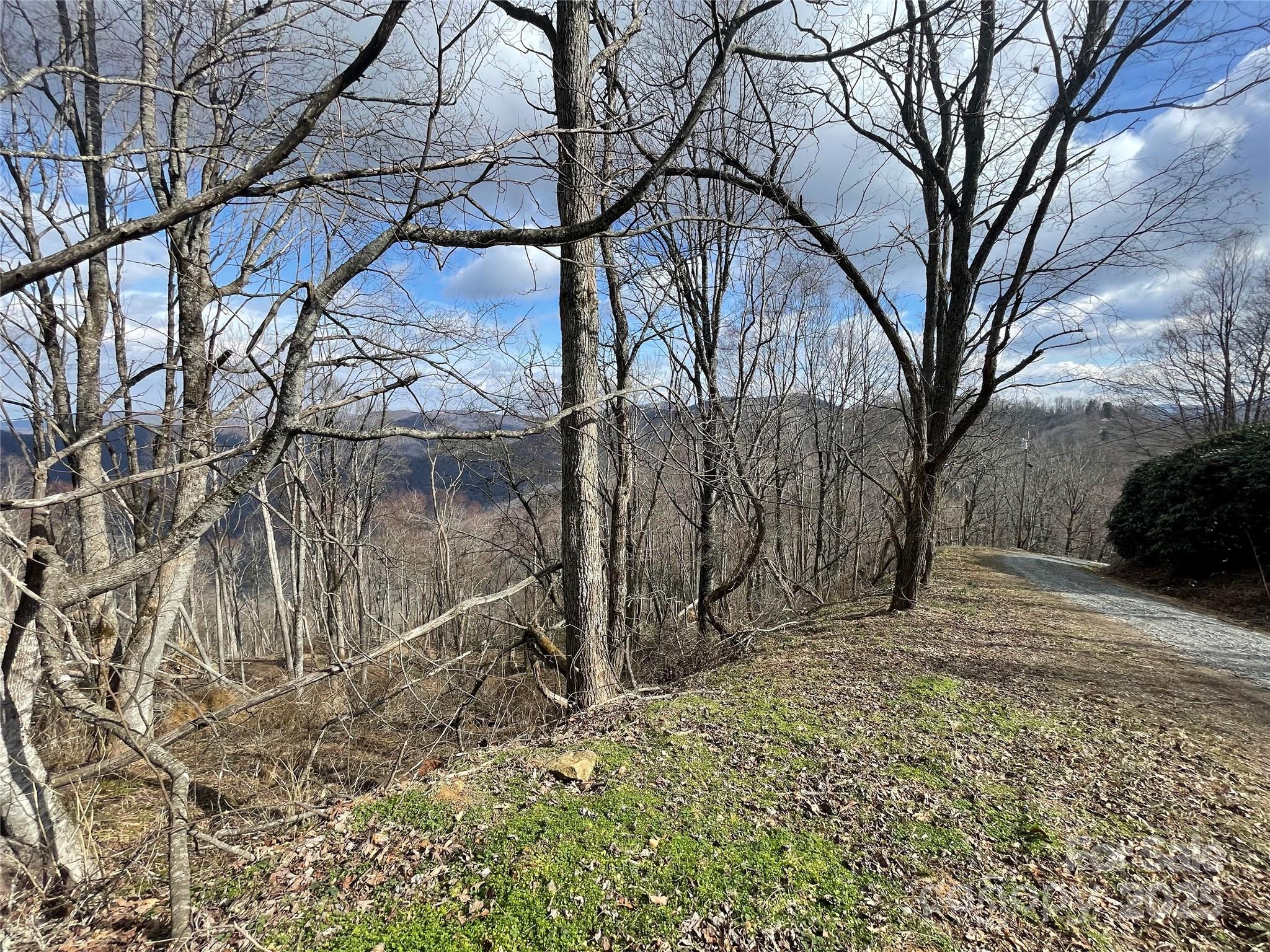 Lot #39 Ridge Top Circle Clyde NC 28721