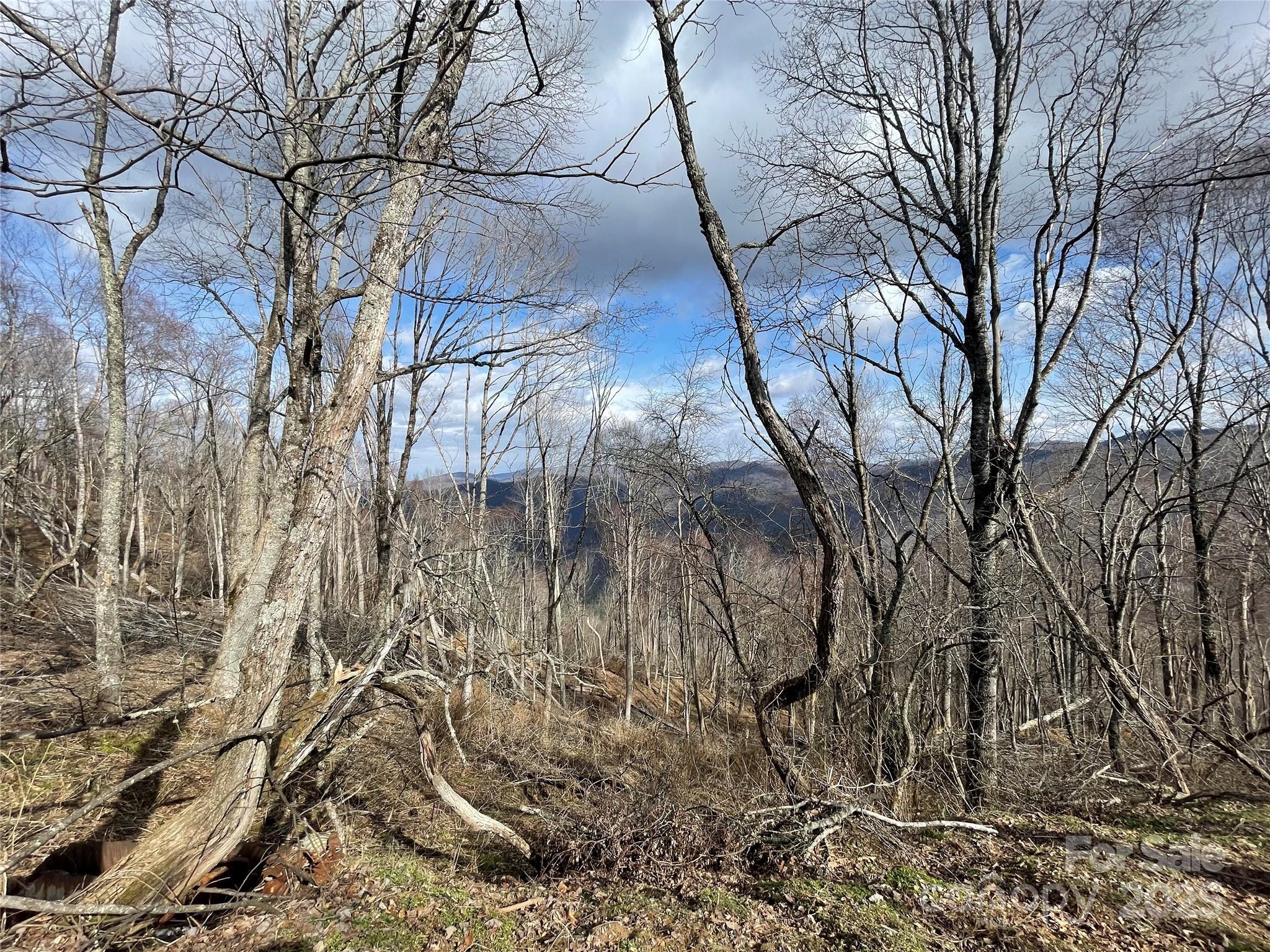 Lot #39 Ridge Top Circle Clyde NC 28721
