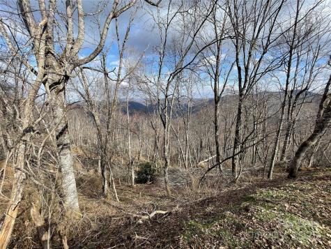 Lot #39 Ridge Top Circle Clyde NC 28721
