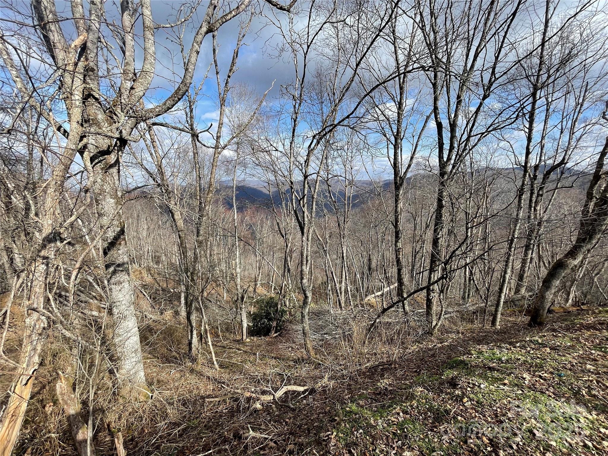 Lot #39 Ridge Top Circle Clyde NC 28721