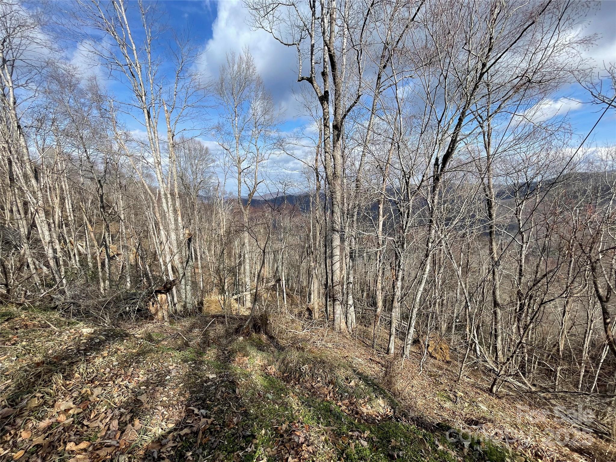 Lot #39 Ridge Top Circle Clyde NC 28721