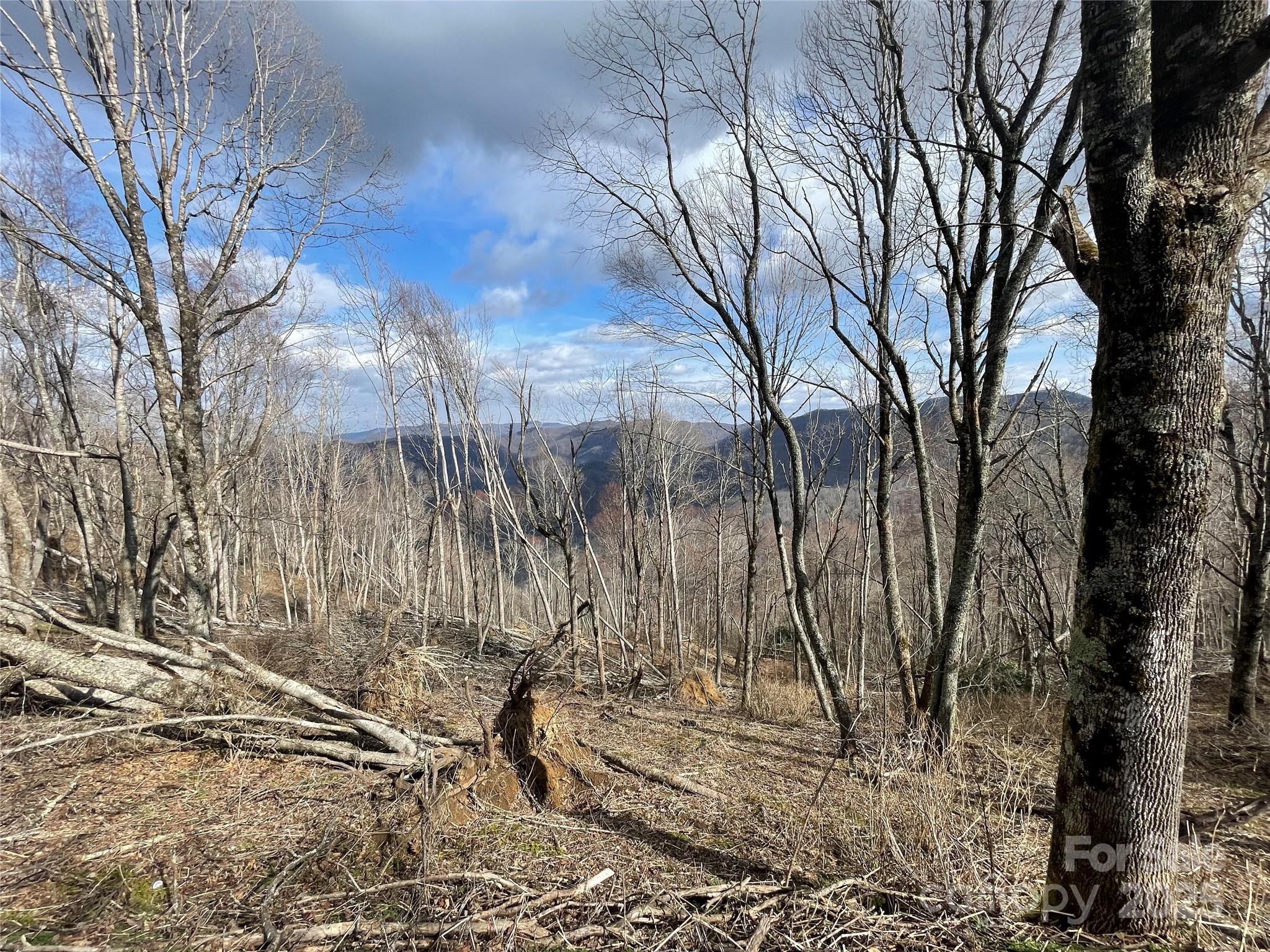 Lot #39 Ridge Top Circle Clyde NC 28721