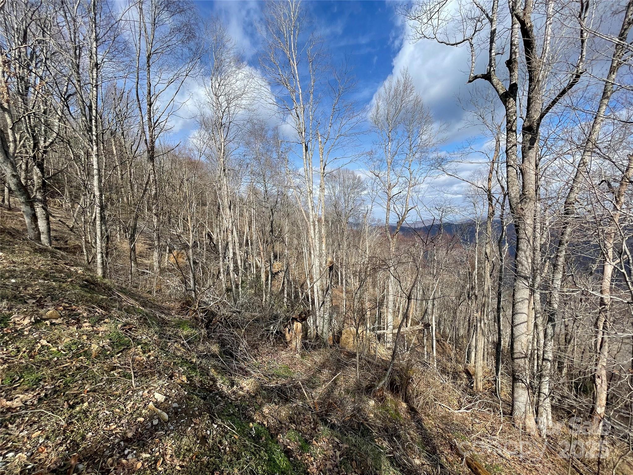 Lot #39 Ridge Top Circle Clyde NC 28721