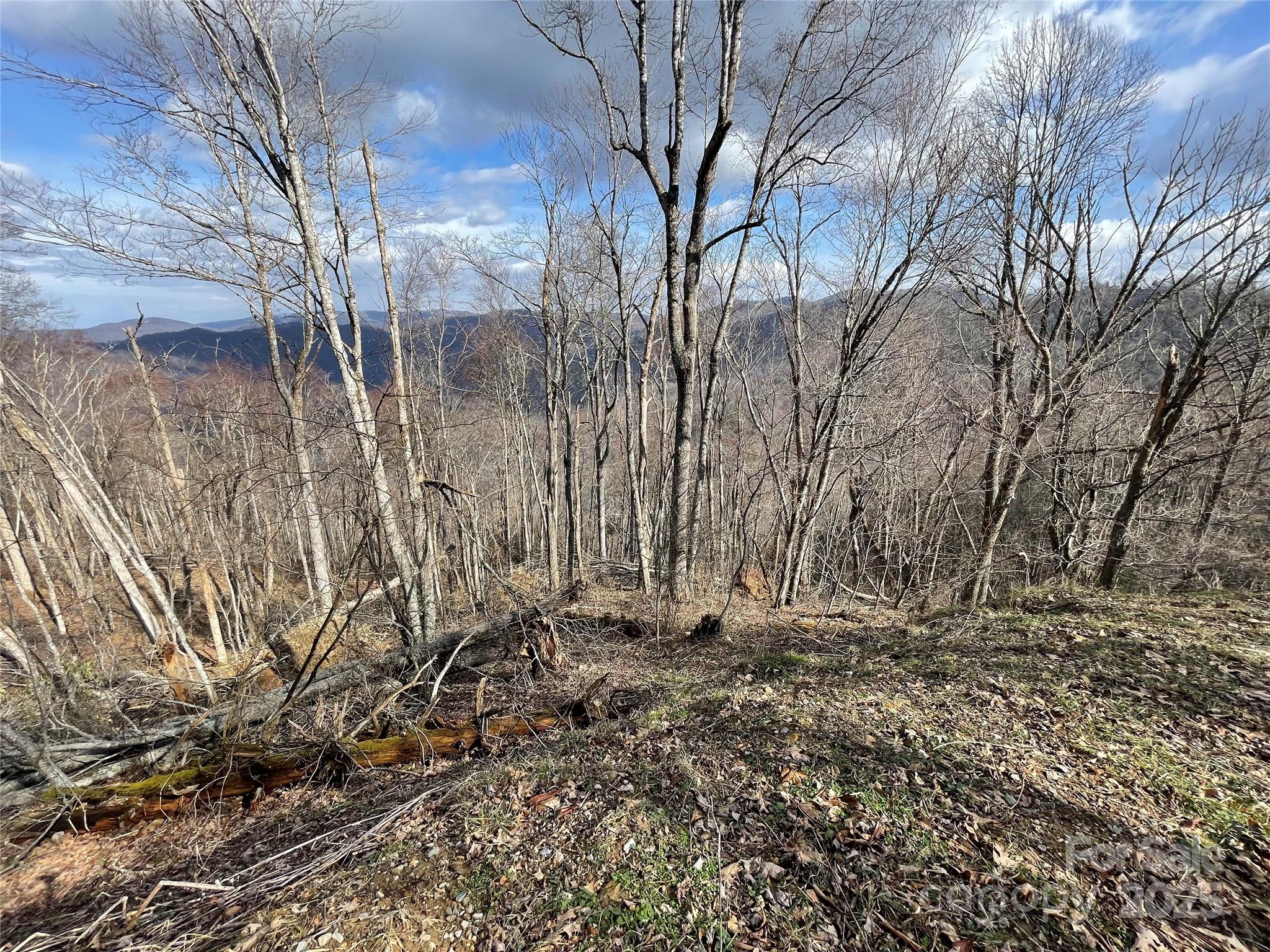 Lot #39 Ridge Top Circle Clyde NC 28721