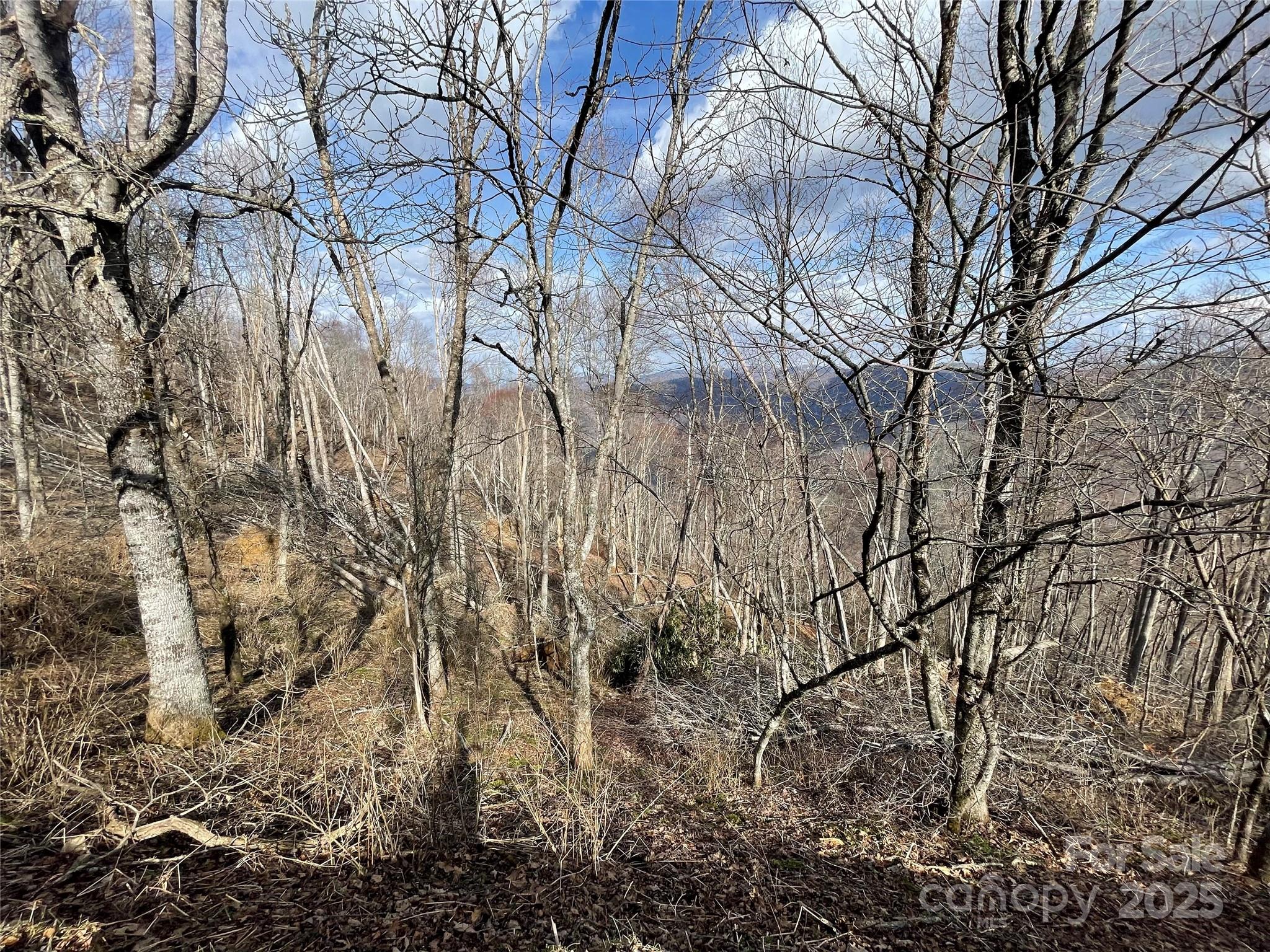 Lot #39 Ridge Top Circle Clyde NC 28721