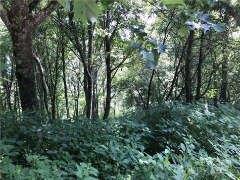 Lot #39 Ridge Top Circle Clyde NC 28721