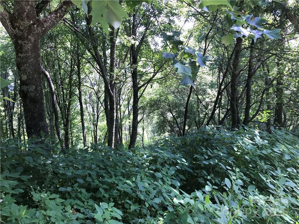 Lot #39 Ridge Top Circle Clyde NC 28721