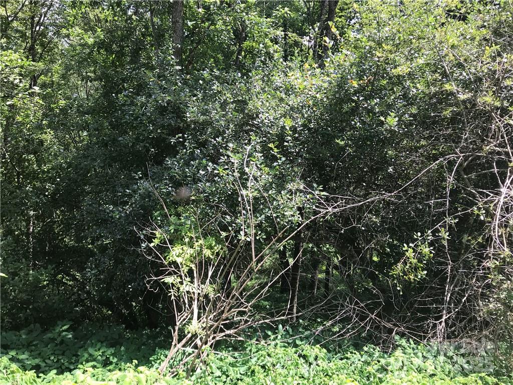 Lot #39 Ridge Top Circle Clyde NC 28721