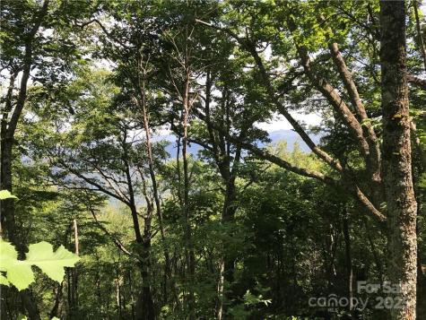 Lot #39 Ridge Top Circle Clyde NC 28721