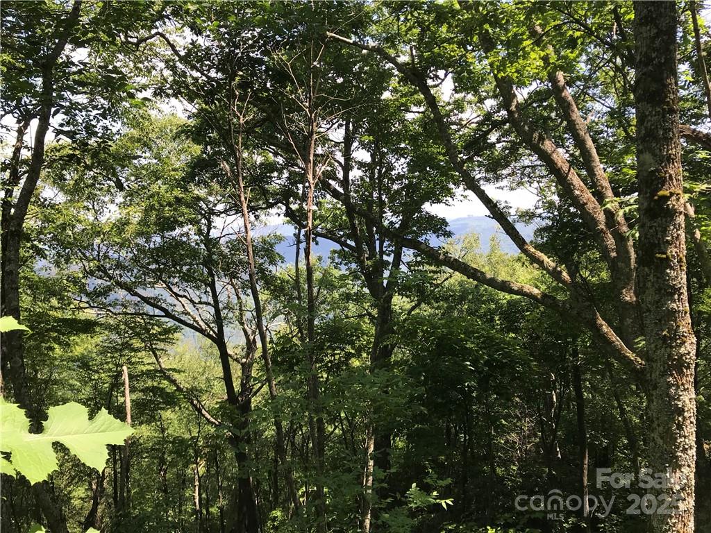 Lot #39 Ridge Top Circle Clyde NC 28721