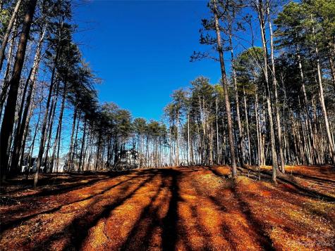 109 Hunt Camp Trail Davidson NC 28036
