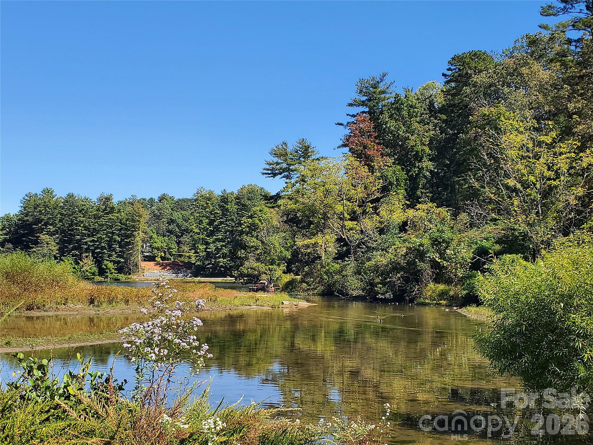 62 Oscelake Way Hendersonville NC 28739