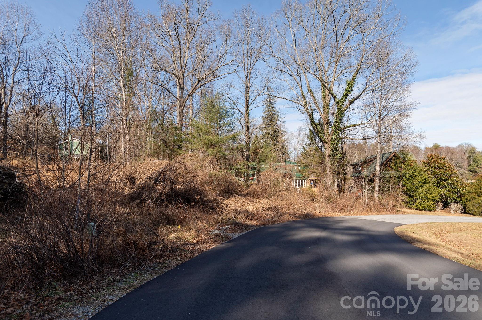 62 Oscelake Way Hendersonville NC 28739