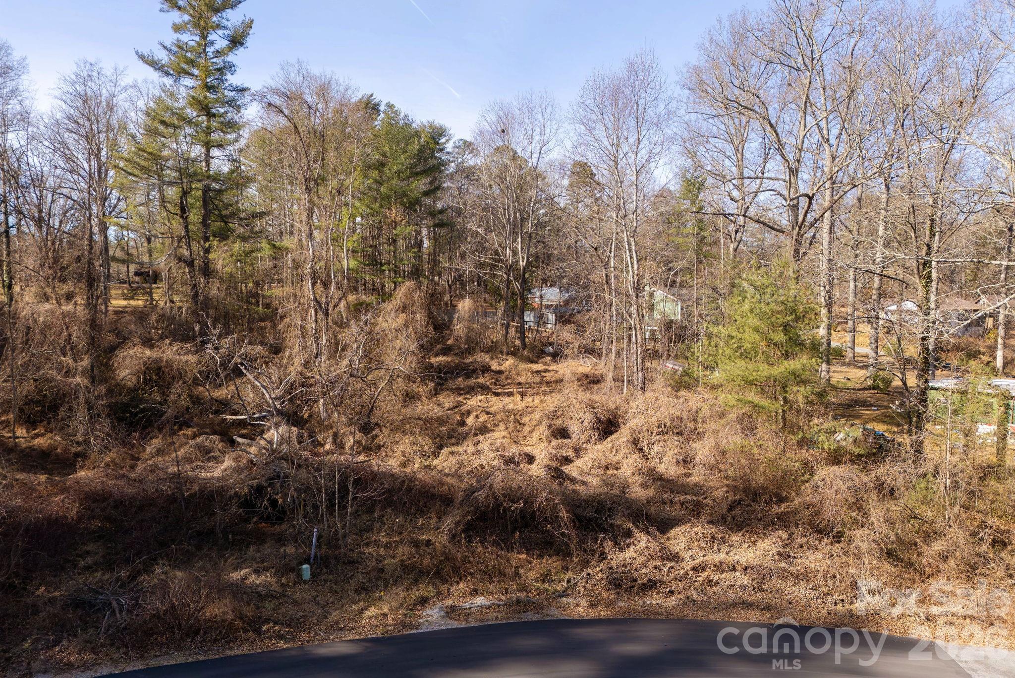 62 Oscelake Way Hendersonville NC 28739