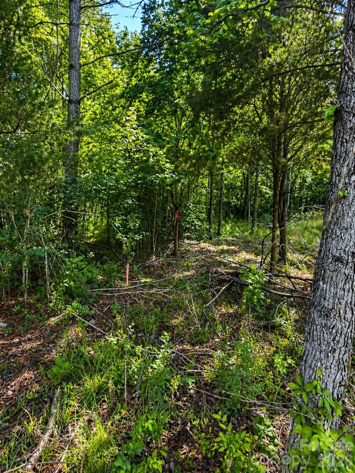 468 Porter Road Rock Hill SC 29730