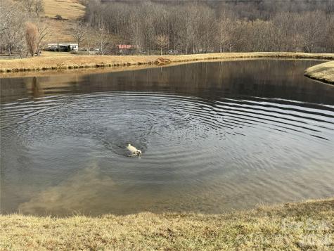 Lot 8 Elk Creek Mountain Parkway Todd NC 28684