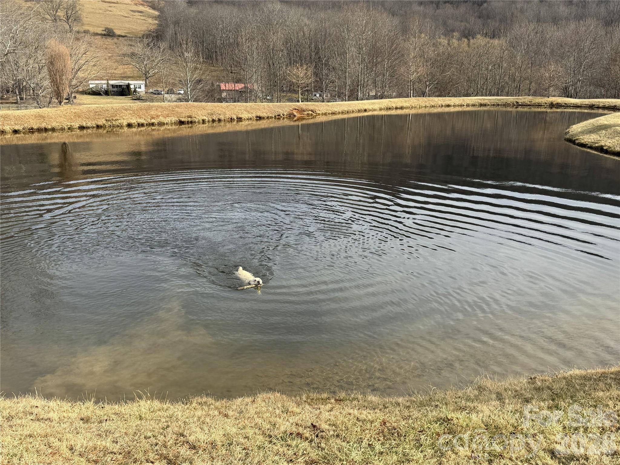 Lot 8 Elk Creek Mountain Parkway Todd NC 28684