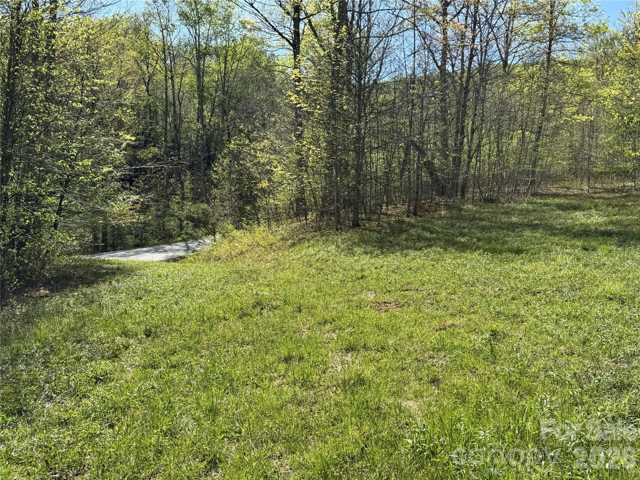 Lot 8 Elk Creek Mountain Parkway Todd NC 28684