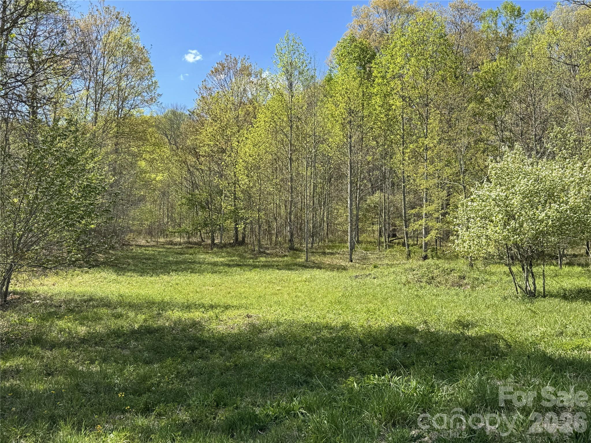Lot 8 Elk Creek Mountain Parkway Todd NC 28684