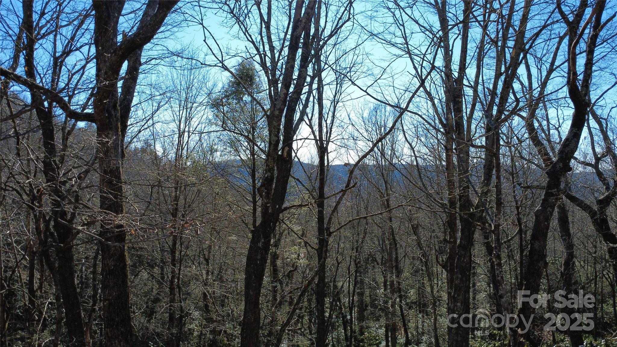 Lot 26 Big Branch Road Brevard NC 28712