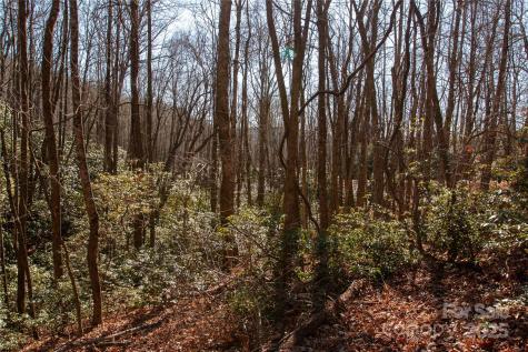 Lot 26 Big Branch Road Brevard NC 28712