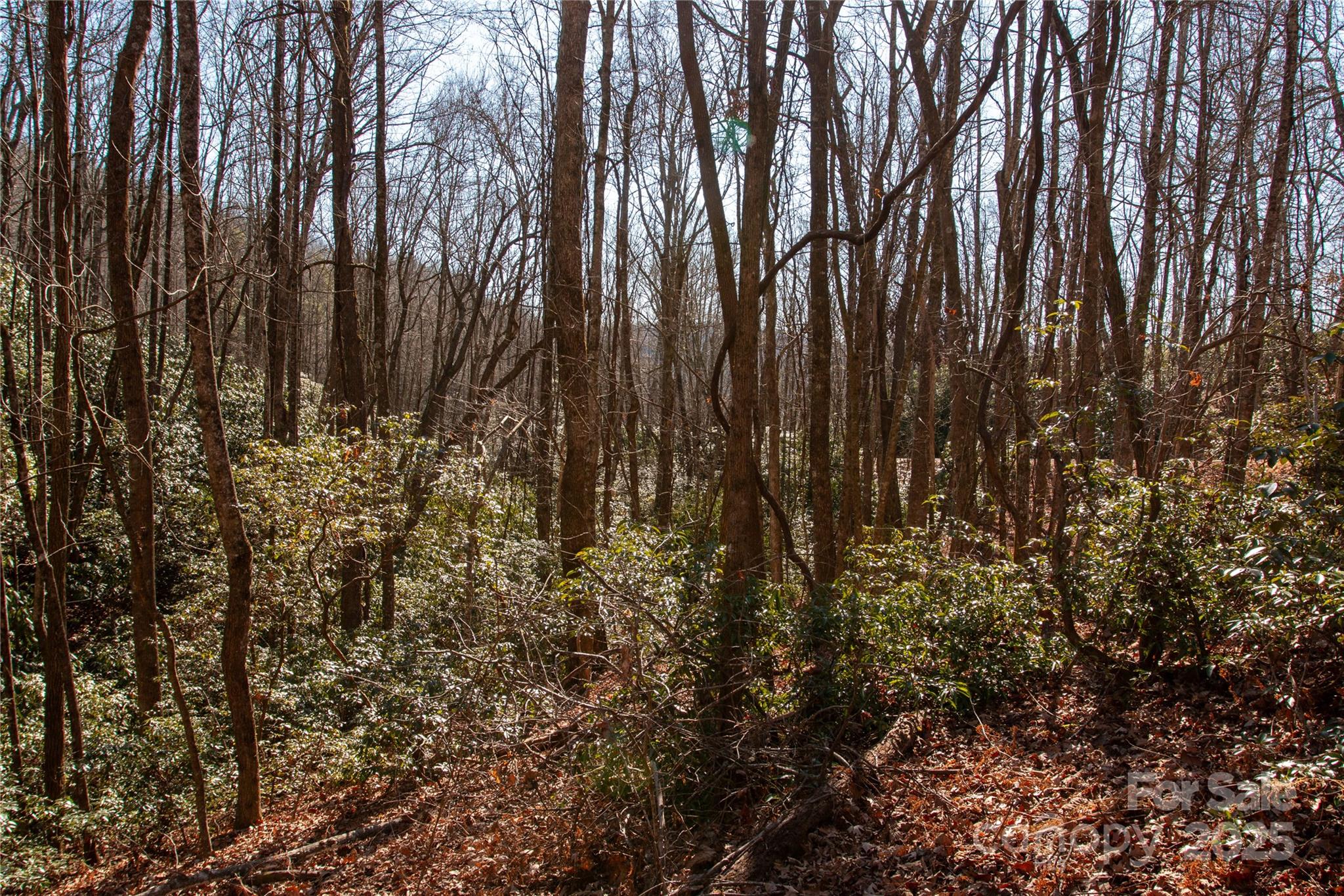 Lot 26 Big Branch Road Brevard NC 28712