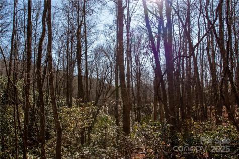 Lot 26 Big Branch Road Brevard NC 28712