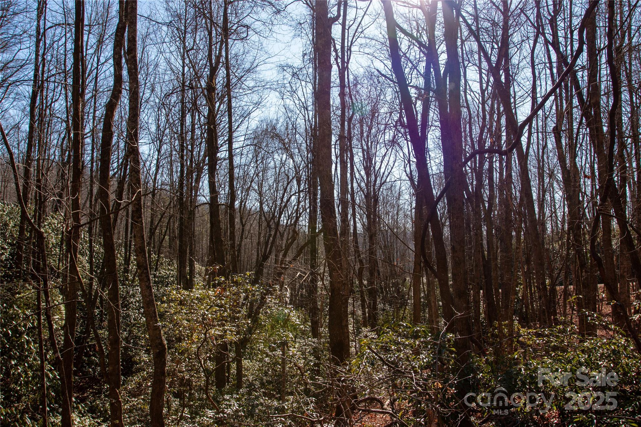 Lot 26 Big Branch Road Brevard NC 28712