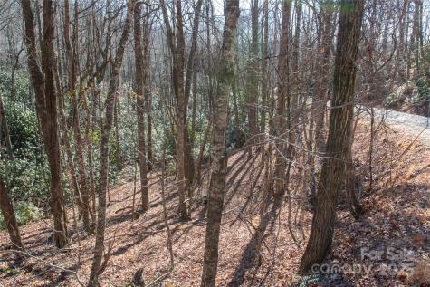Lot 26 Big Branch Road Brevard NC 28712