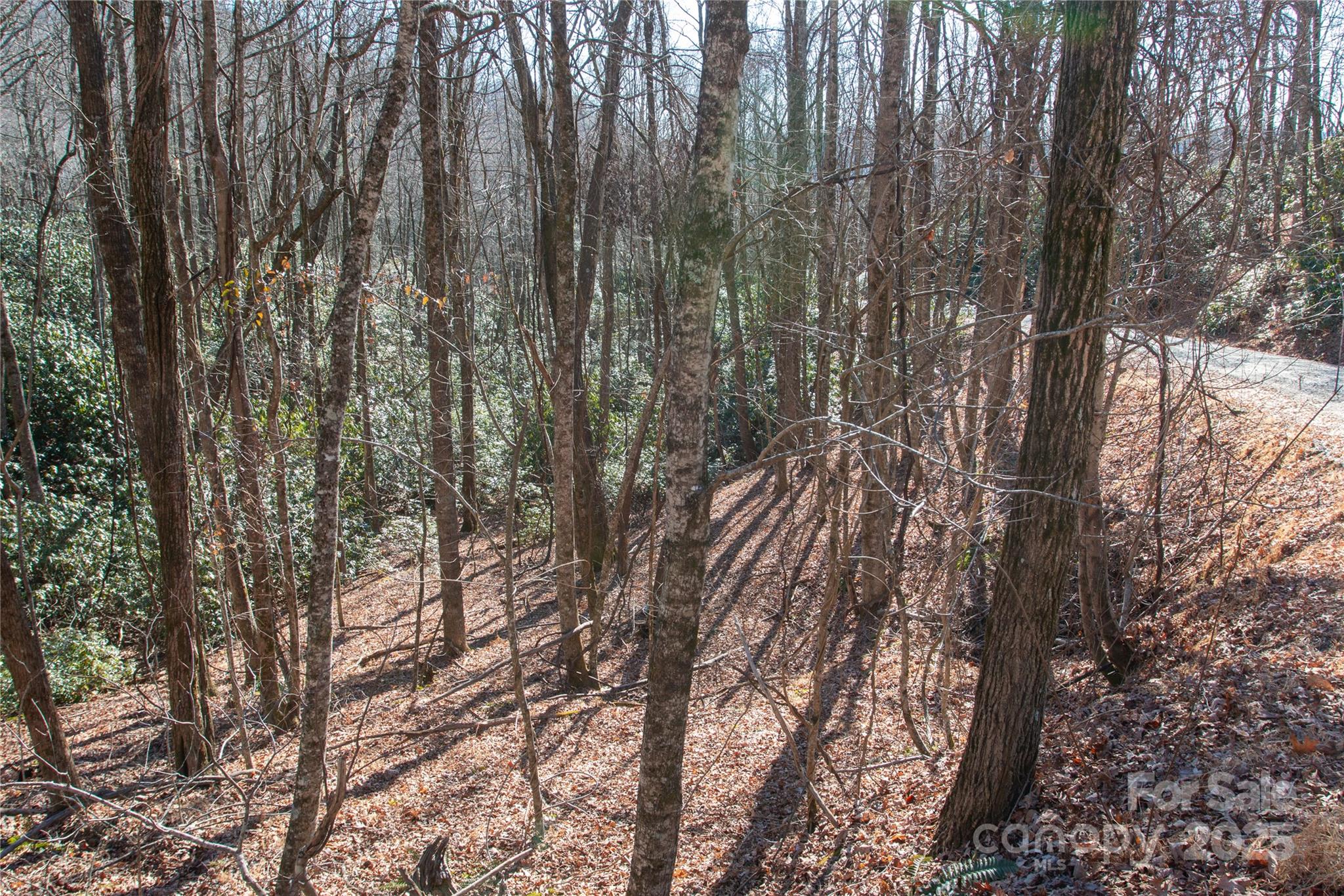 Lot 26 Big Branch Road Brevard NC 28712