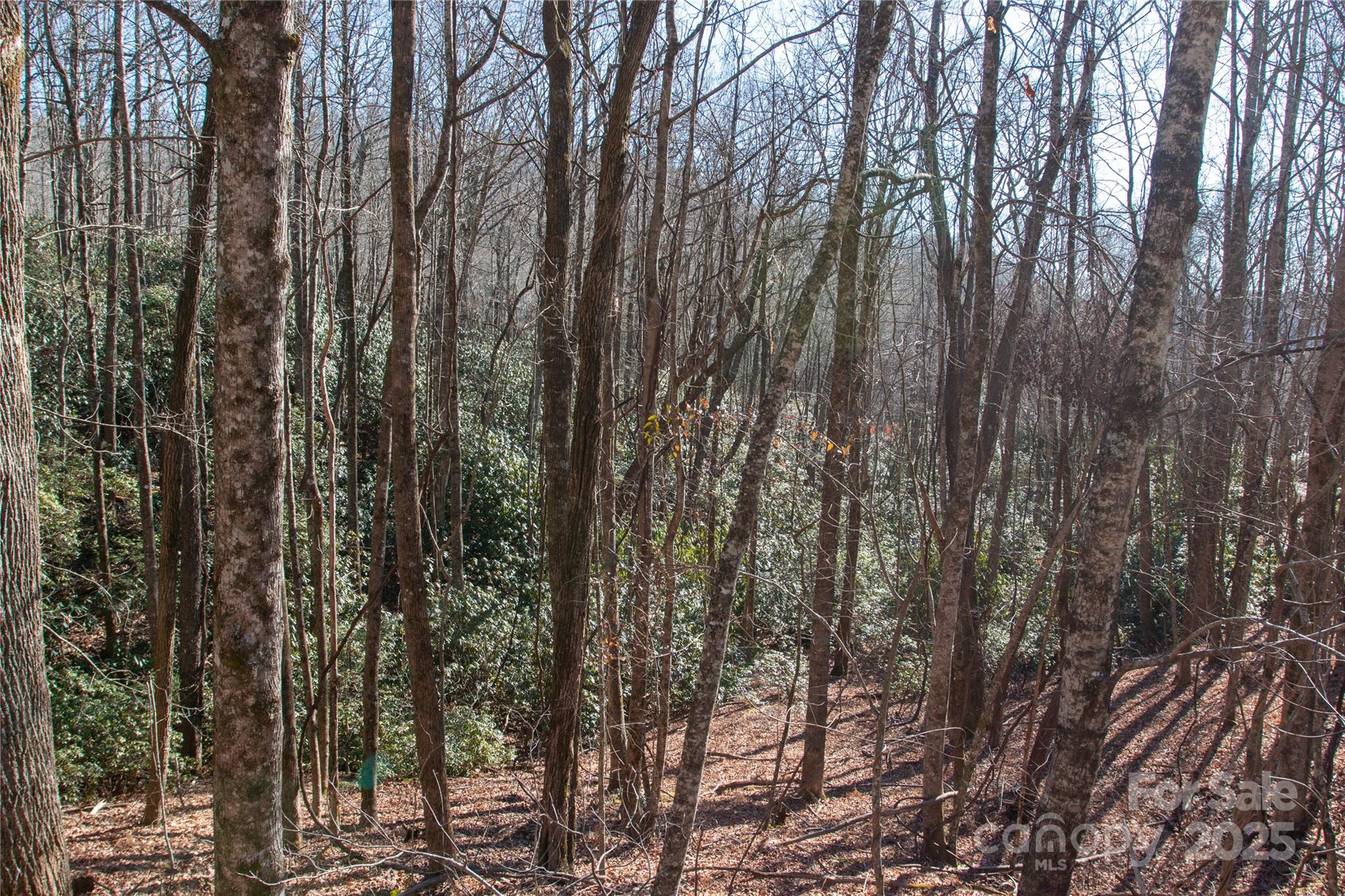 Lot 26 Big Branch Road Brevard NC 28712