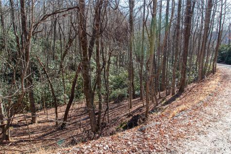 Lot 26 Big Branch Road Brevard NC 28712