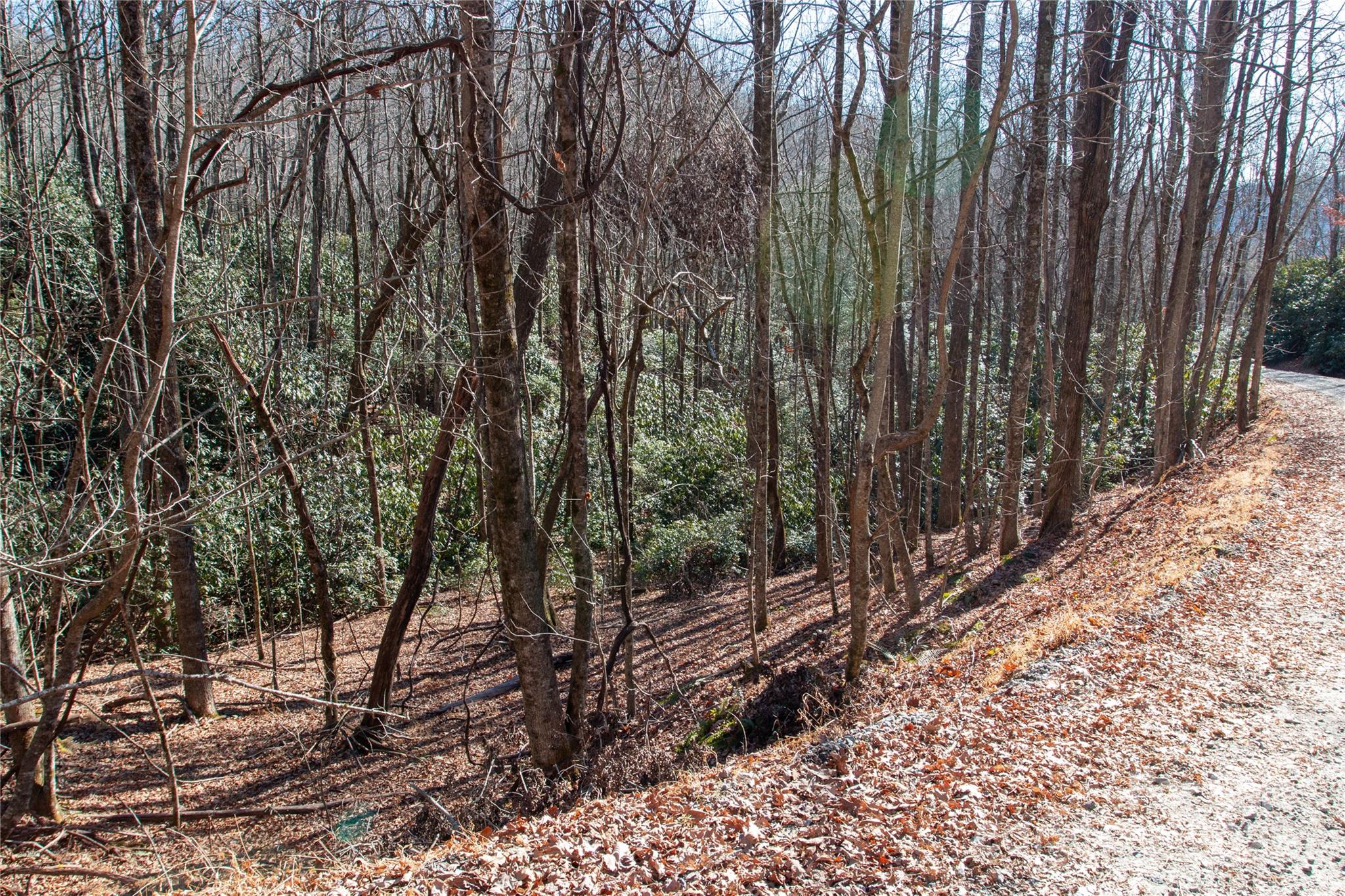 Lot 26 Big Branch Road Brevard NC 28712