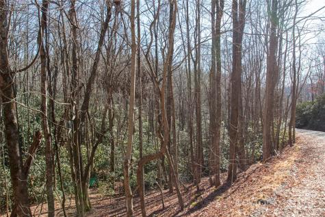 Lot 26 Big Branch Road Brevard NC 28712